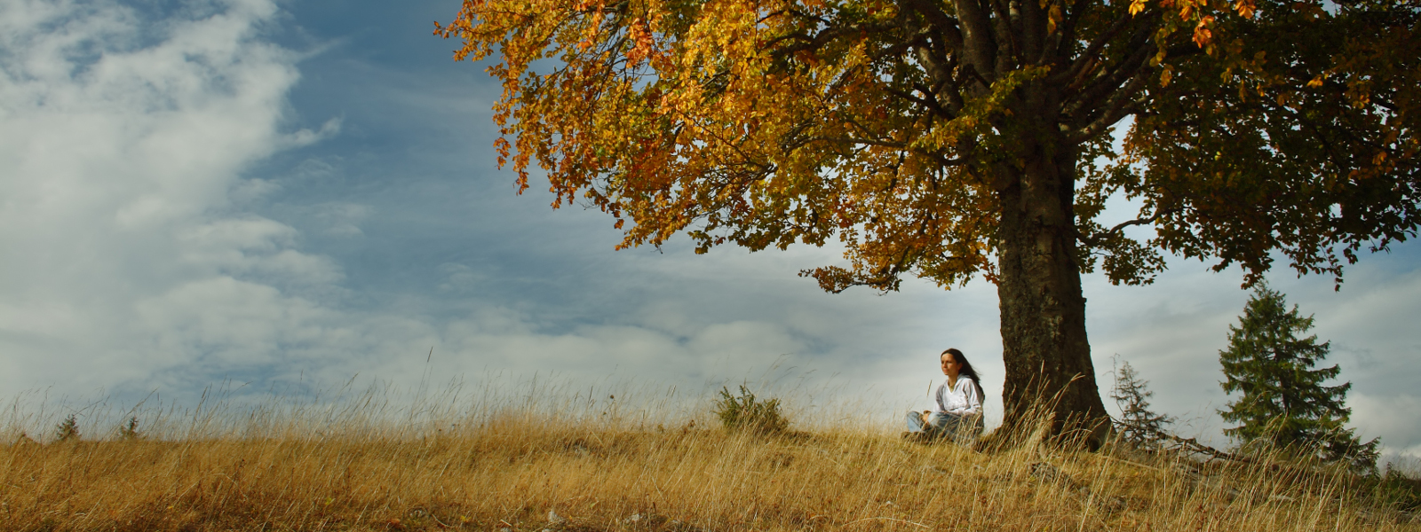 Poseban naglasak stavljamo na edukaciju, ali pritom napominjemo da informacije uvijek valja potražiti iz pouzdanih izvora. Vaš ginekolog će uvijek rado odgovoriti na sva Vaša pitanja.
Opširnije